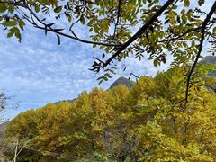 -秦岭终南山世界地质公园翠华山景区