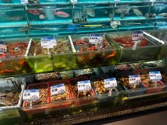 -强记海鲜·大排档(蛇口新街店)