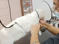 -FAELING PETS美天灵宠物(富力广场店)