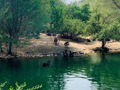 -长白岛森林公园