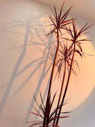 -麦田造型 Hair Salon