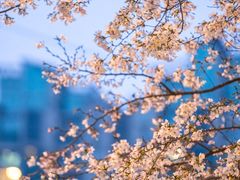 -西北湖绿化广场