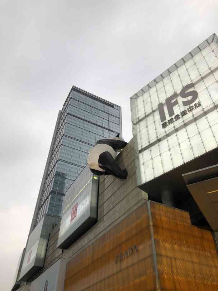 ifs国金中心顶楼有网红大熊猫所以是一定要来打个卡的啦
