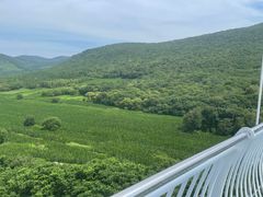 -香炉山国家森林公园