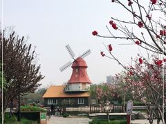 -绿岛公园(滨海新区)