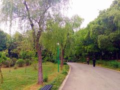 -蜀冈西峰生态公园