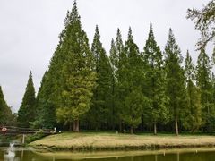 -黄海国家森林公园