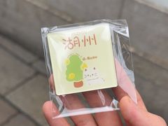 -猫的魔法密林(衣裳街店)