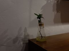 -MAISON门前杂货店