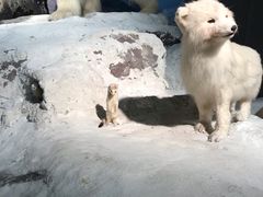 -浙江自然博物院(杭州馆)