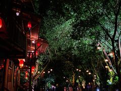 -天门沟九州驿站树上汤泉