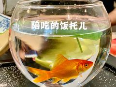 -拂晓山房·私房川菜(西门店)