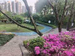 -重庆平顶山公园