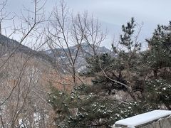 -沂蒙山旅游区云蒙景区(蒙山国家森林公园)