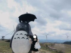 -龙里油画大草原旅游区