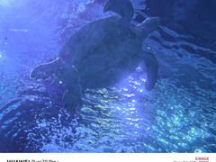 -太平洋海底世界