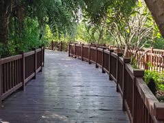 -金鸡岭桥头公园