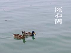 -颐和园