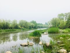 -新江湾城公园