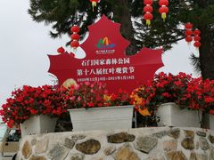 -广州市石门国家森林公园