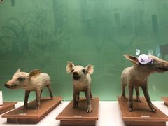 -国家自然博物馆