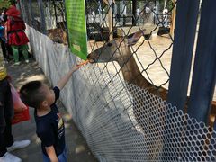 景点-长白岛森林公园