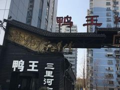 -鸭王烤鸭店(三里河店)