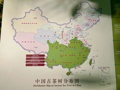 -中国茶叶博物馆(双峰馆区)