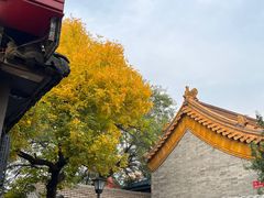 -天泽祥·鼓楼馒头(鼓楼店)