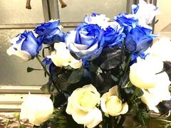 -BEAST野兽派(上海浦东嘉里城店)