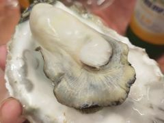 汽锅生蚝-小辉哥大排档(船山路总店)