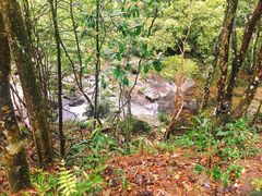 -姑婆山旅游区