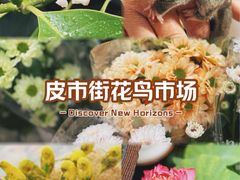 -苏州市皮市街花鸟工艺品市场
