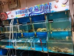 水产区-东极岛海鲜