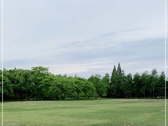 -上海滨江森林公园