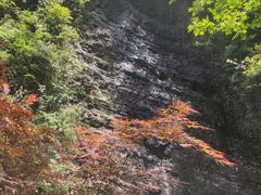 -神龙峡风景区