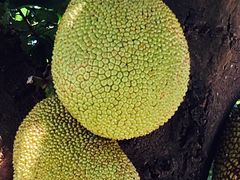 -润记农家菜