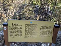 -香雪海