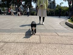 -荔湾湖公园