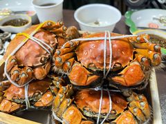 大闸蟹-黄记大闸蟹专卖店·活蟹·醉蟹