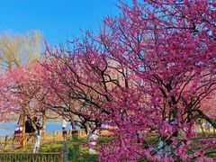 -郭庄景区