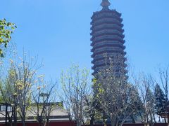 -西海子公园