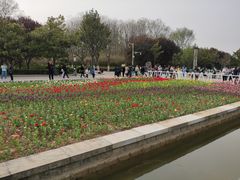 -洛阳市隋唐城遗址植物园