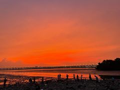 -宝安西湾红树林湿地公园