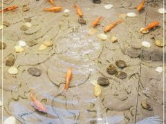 -四季民福烤鸭店(前门店)