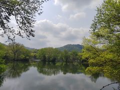 -杭州半山国家森林公园