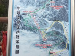 -牛背梁国家森林公园