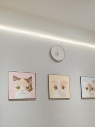 -洗脸猫·洗脸吧