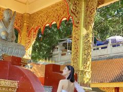 -西双版纳勐泐文化旅游区