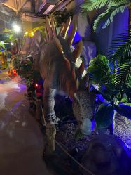 -恐龙探索乐园(磁器口店)